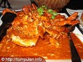 Seafood Berkualitas di D'Ocean Seafood Berkualitas di D'Ocean