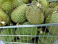 Resto Duren Harum Resto Duren Harum